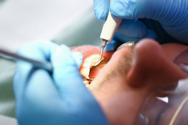 , MD Emergency Dental Service Company